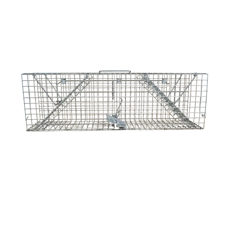 Pasca Typ 1 na humánny odchyt potkanov. Kompaktný model s hustou pozinkovanou sieťou, rozmery 62 × 15,5 × 20 cm.